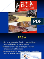 Accidente Rábico