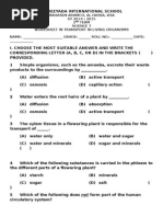 Worksheet Transport in Living Organism