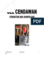 Struktur Dan Morfologi Sel Cendawan PDF