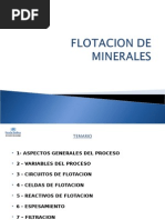 Flotacion de Minerales