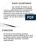 Nervios Craneales y Plasticidad