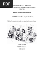 Fines y Funciones de Las Organizaciones Sindicales, Derecho Laboral Colectivo