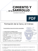 Crecimiento Craneofacial