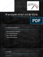 Managementul Schimbarii