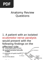 Anatomy Review Questions