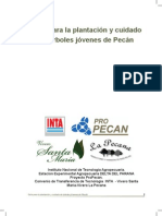 INTA Guia de Plantacion Pecan PDF