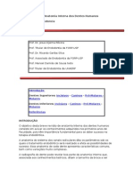 Breve Revisão de Anatomia Interna Dos Dentes Humanos