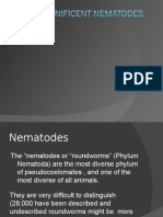 The "Nematodes or "Roundworms" (Phylum Nematoda) Are