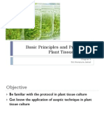 Basic Principles and Protocol in Plant Tissue Culture