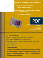 Animal Cell Culture - Cytotoxicity Assays