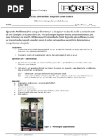 AL2.2-Determinação Da Velocidade Do Som