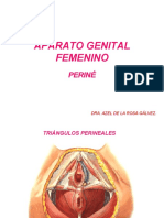 Aparato Genital Femenino