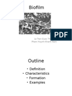 Biofilm: Le Tran Quoc Thang Pham Huynh Khanh Nam