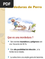 Mordeduras de Perro