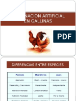 Ins Artificial de Gallinas