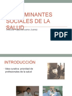 Determinantes Sociales de La Salud