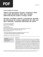 08 - Apical and Periapical Tissues Responses After Root Canal Obturation With Two Calcium Hydroxi