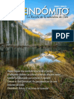 Chile Indomito PDF