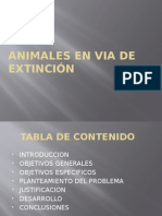 Animales en Via de Extinción