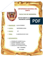 Informe de Vino PDF