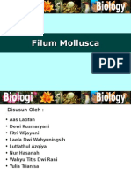 Mollusc A