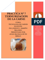 PRACTICA # 7 Ternurizacion PDF