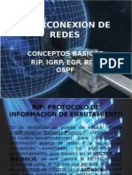 Conceptos Rip, BPG, Etc