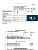 Nota Explicativa La Situatii Financiare MODEL