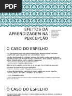 Efeitos Da Aprendizagem Na Percepção