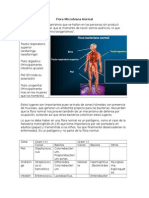 Flora Bacteriana Normal
