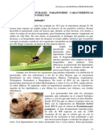 Enemigos Naturales: Parasitoides Caracteristicas Del Parsitismo en Insectos