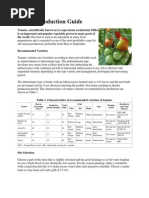 Tomato Production Guide