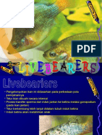 Livebearers