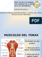 Musculos de La Region Costal Del Torax