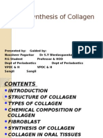 Biosynthesis of Collagen