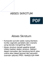 Bimbingan Bedah - Abses Skrotum