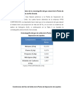 Recopilación de Los Datos de La Cromatografía Del Gas Natural de La Planta de Separación de Licuables de Rio Grande