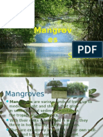 Mangroves 130101054426 Phpapp01