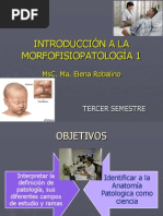 Presentacion 1 Introducción A La Morfofisiopatologia