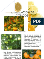 Fertilización de Cítricos