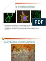 Membrana Citoplasmatica