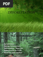 Final Deforestation