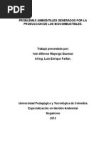 Problemas Ambientales Generados Por La Produccion de Los Biocombustibles