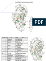 Puntos Auriculoterapia