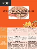 Origen Real Y Aparente de Los Pares Craneales Presentacion