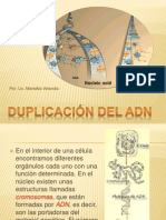 Duplicacion de ADN