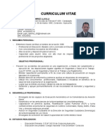 Curriculum Vitae 3