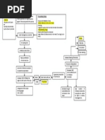 Pathophysiology of AML