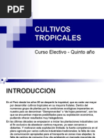 Cultivos Tropicales