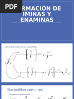 Formación Iminas y Enaminas